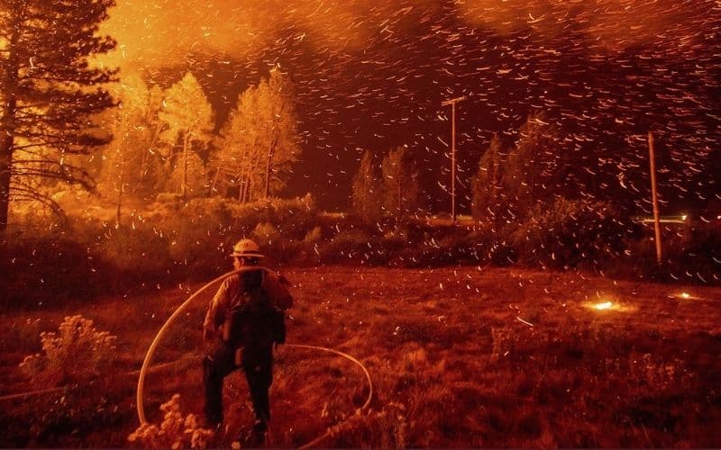 Bomberos tratando de controlar el fuego de los múltiples incendios forestales en California.
