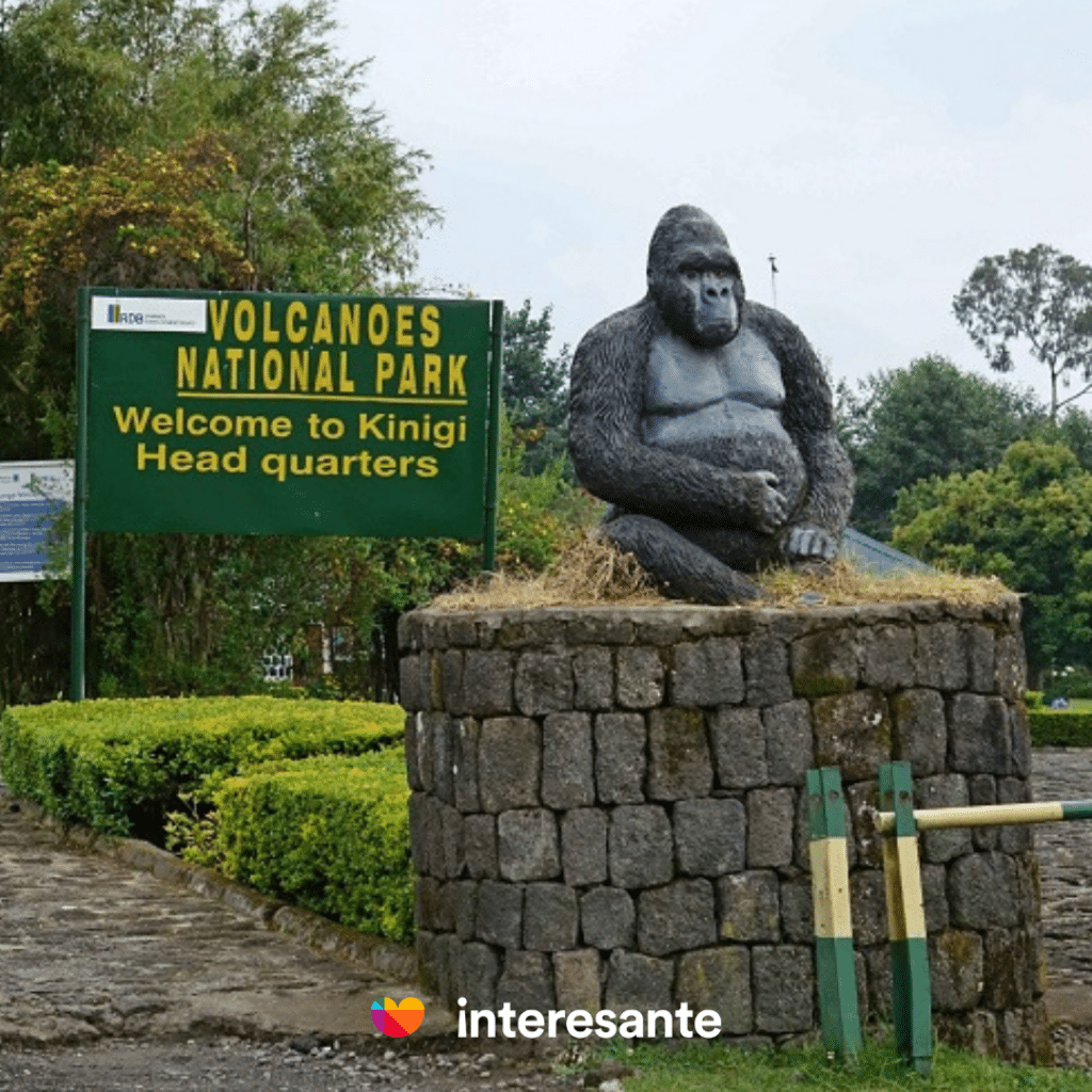 Parque Nacional de los Volcanes, Ruanda
