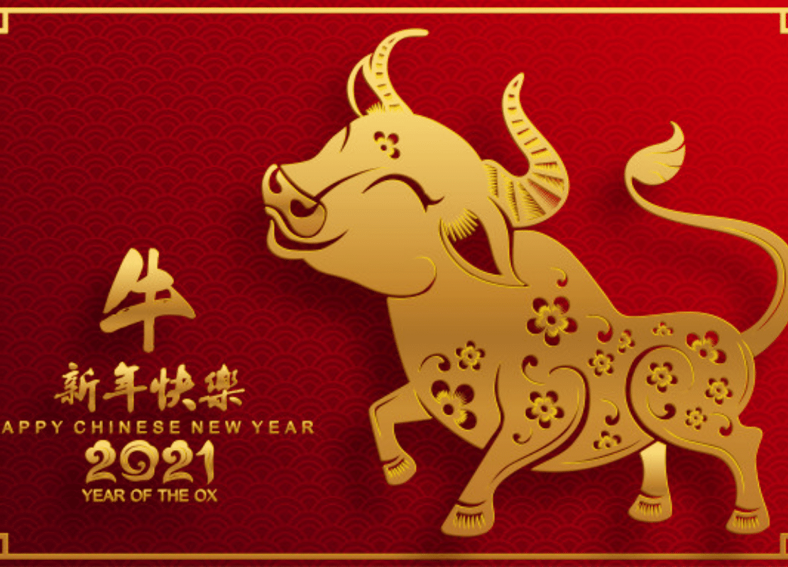 Chinese New Year Imports