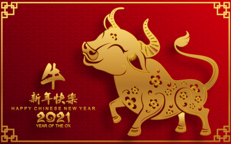 Chinese New Year Imports