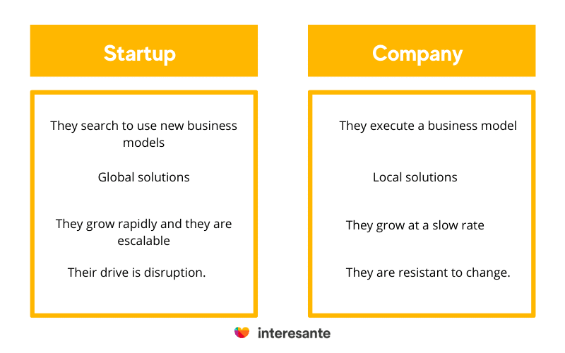 company and startup