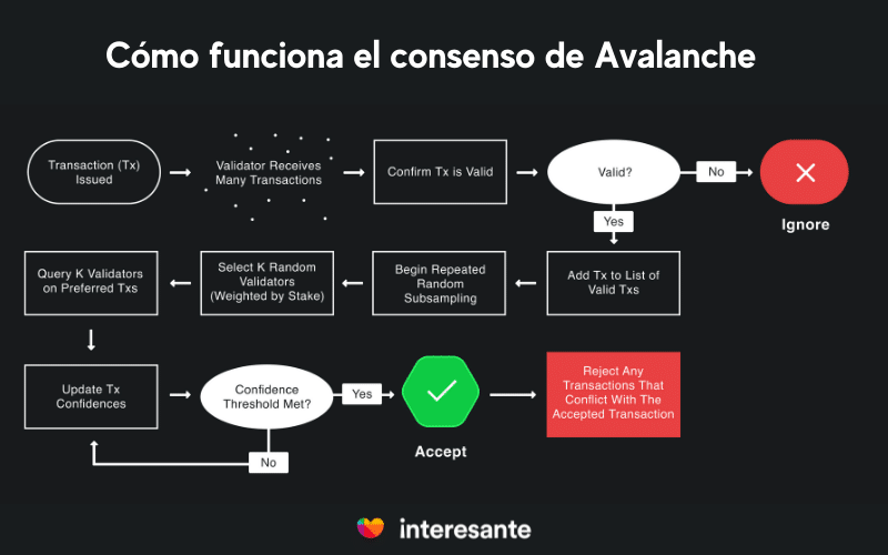 como funciona el protocolo de consenso Avalanche