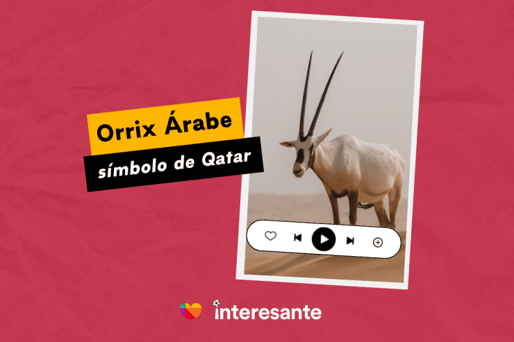 El animal nacional de Qatar Qatar2022