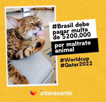Brasil debe pagar multa de 200000 por maltrato animal en la CopaMundial
