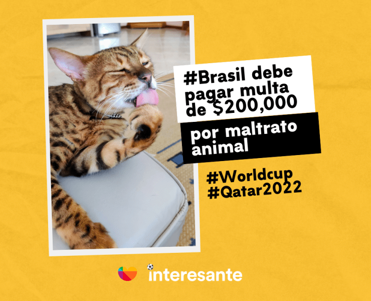 Brasil debe pagar multa de 200000 por maltrato animal en la CopaMundial