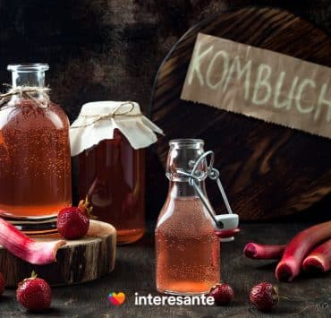 Descubre el universo de la Kombucha Una guia completa para crear saborear y combinar sabores