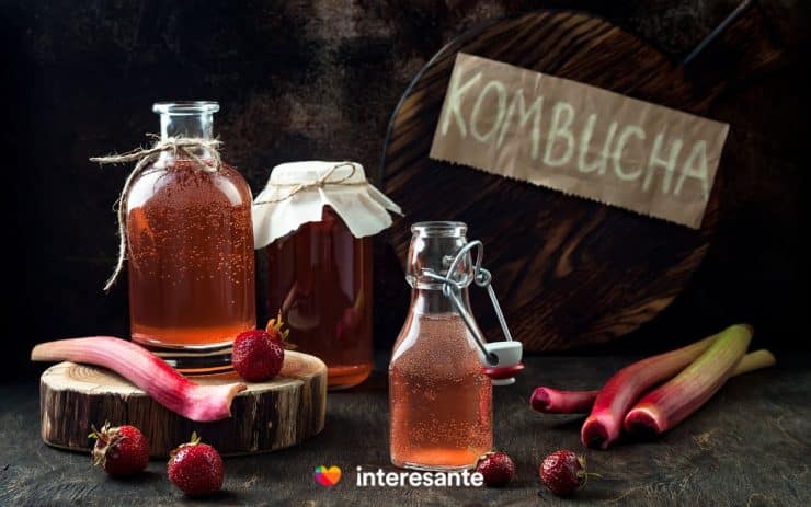 Descubre el universo de la Kombucha Una guia completa para crear saborear y combinar sabores