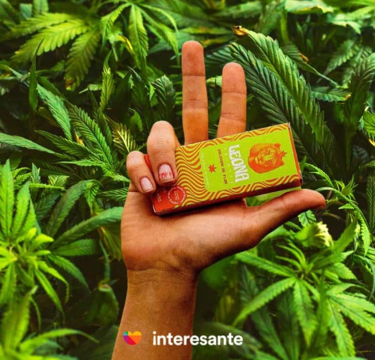 Explorando lo excepcional Leona Edibles y su innovadora propuesta de chocolates con cannabis