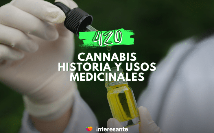 El extraordinario viaje del cannabis historia y usos medicinales