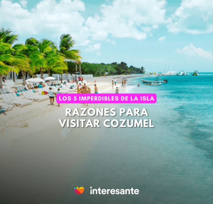 Cozumel Lo que debes saber antes de ir a esta isla paradisíaca