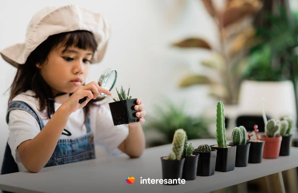 Abriendo Nuevas Puertas a la Educación