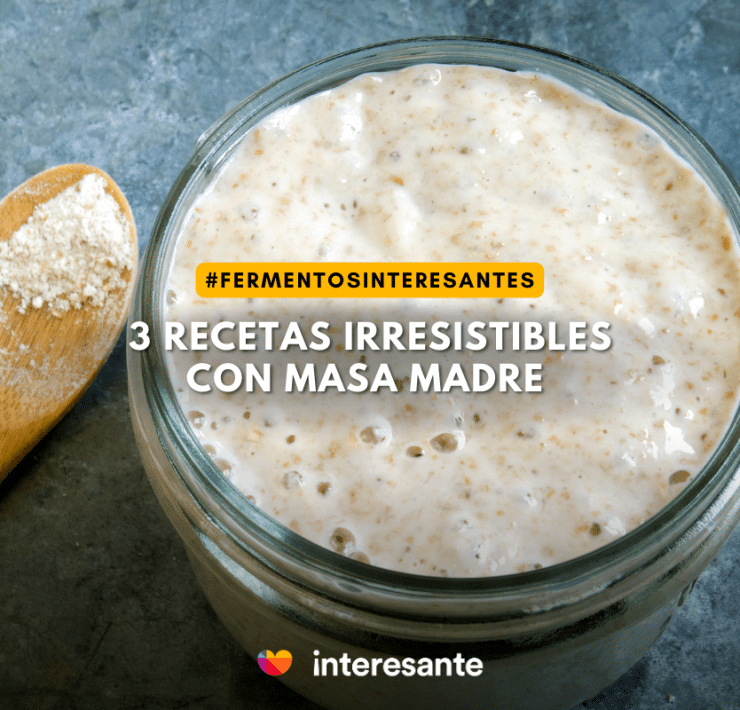 Aprovecha al Máximo tu Masa Madre con 3 Recetas Irresistibles