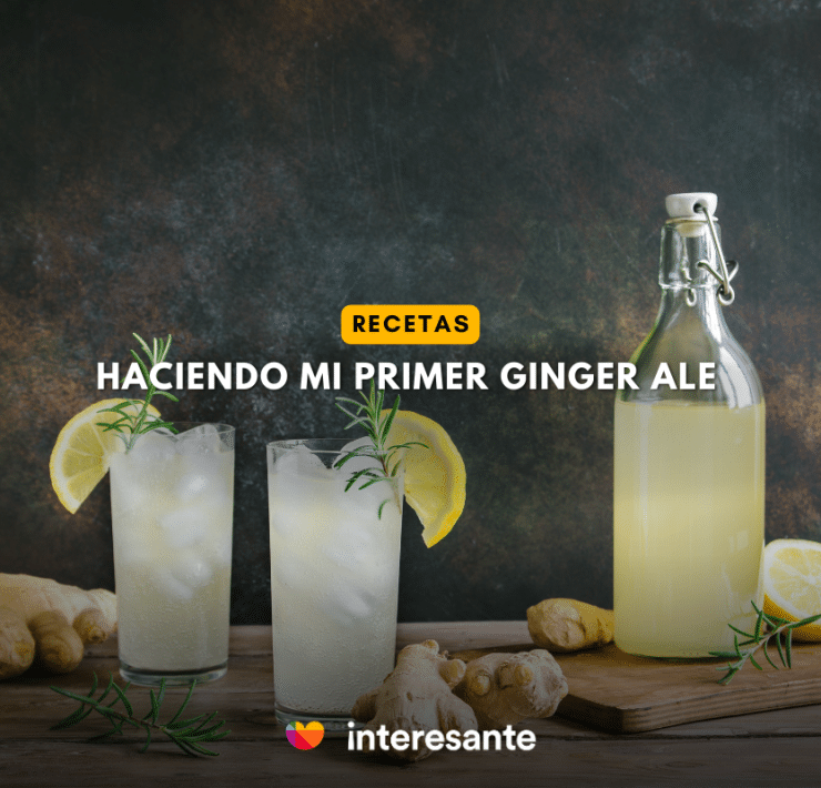 Fermentos Interesantes Ginger Ale Casero