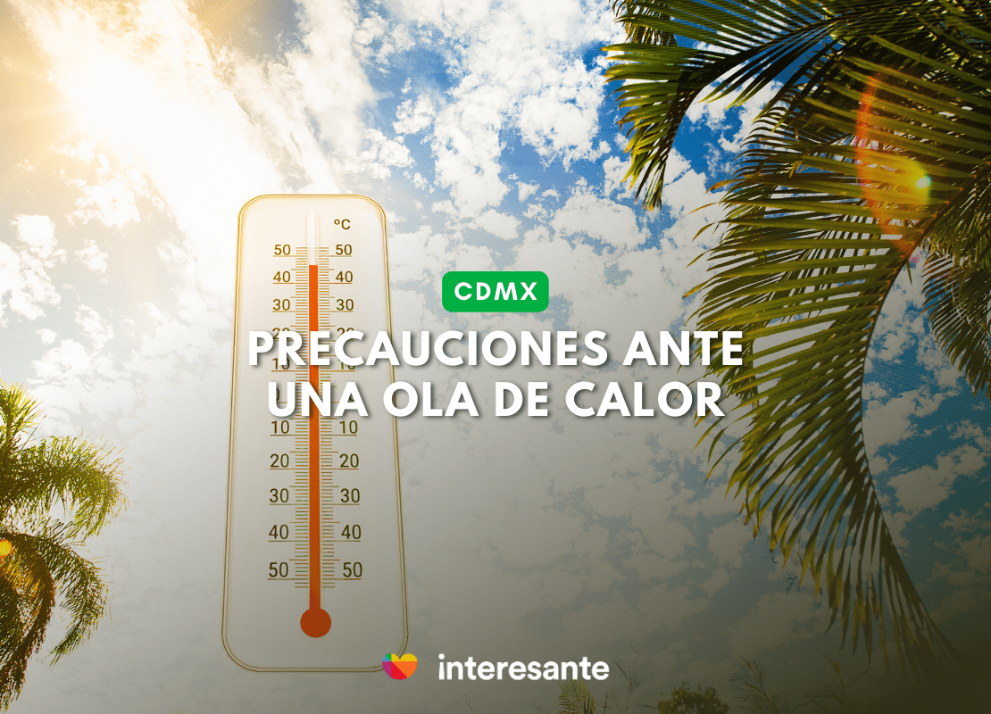 Guía para protegernos de una ola de calor un experto responde