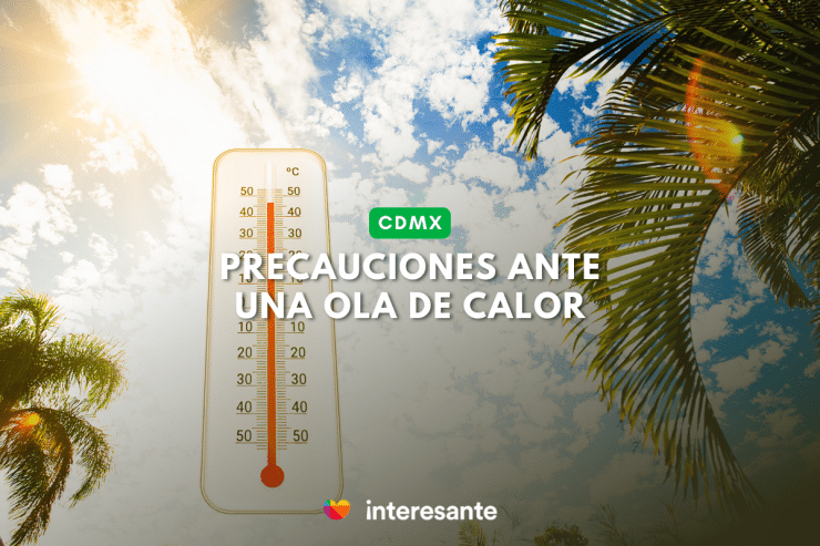 Guía para protegernos de una ola de calor un experto responde