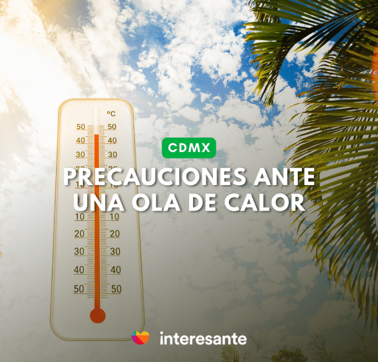 Guía para protegernos de una ola de calor un experto responde