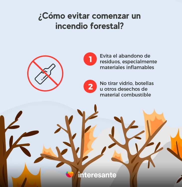 ¿Cómo Podemos Evitar Comenzar un Incendio Forestal