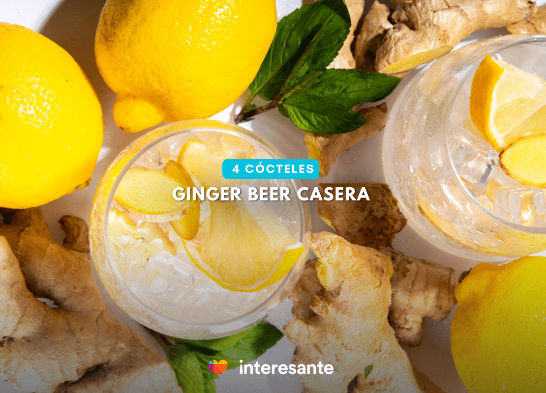 Fermentos Interesantes 4 Cócteles para Hacer con tu Ginger Beer Casera