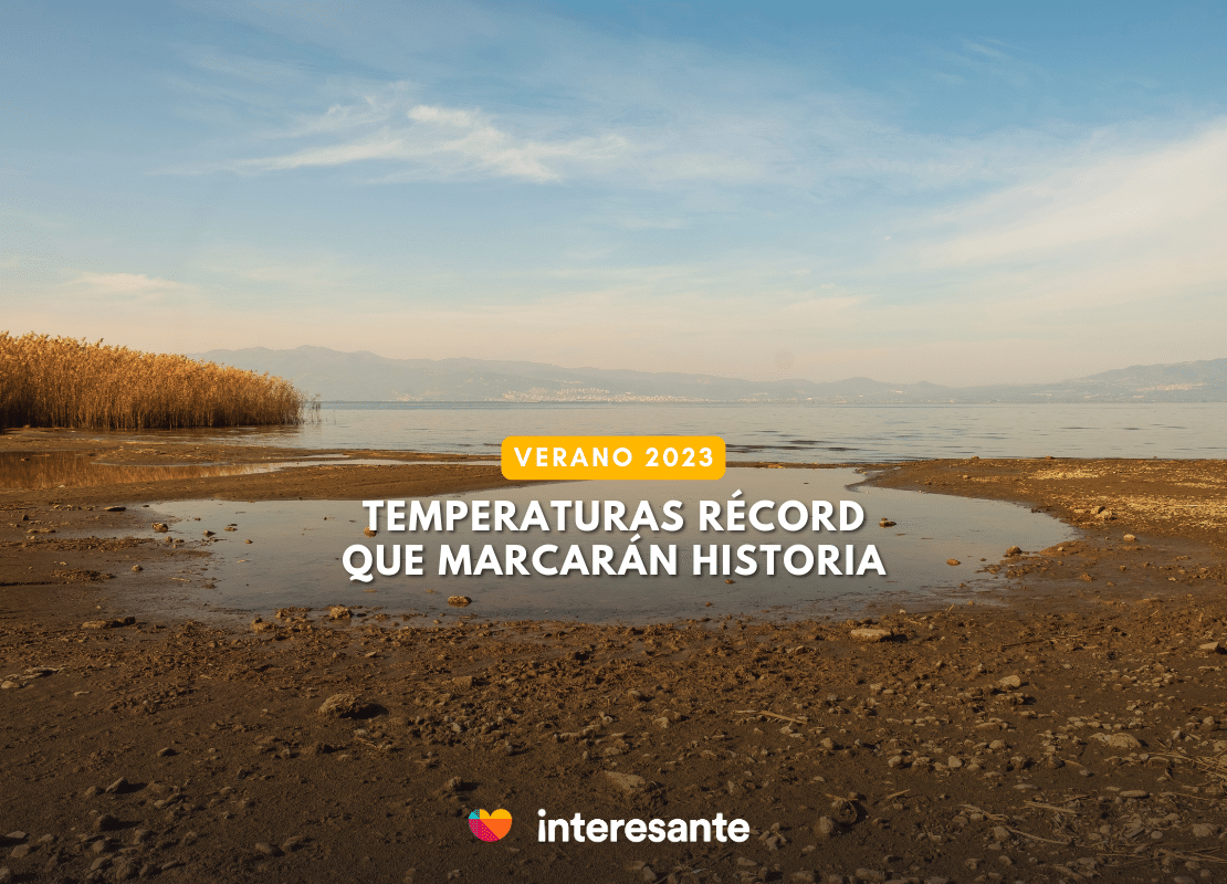 Verano 2023 Las Temperaturas Récord Que Marcarán Historia